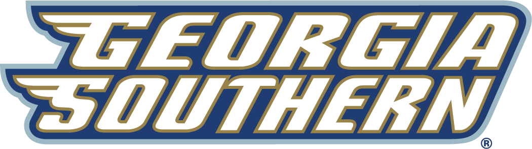 Georgia Southern Eagles 2004-Pres Wordmark Logo v3 diy DTF decal sticker